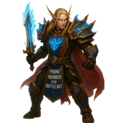 戰網電話號碼訂購 | RaidLine 專業服務 🎮 戰網電話號碼訂購 | RaidLine 專業服務 🎮