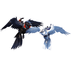 Paquete de alas y sabiduría