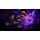 WoW Twitch Drops — How They Work and How to Claim Yours