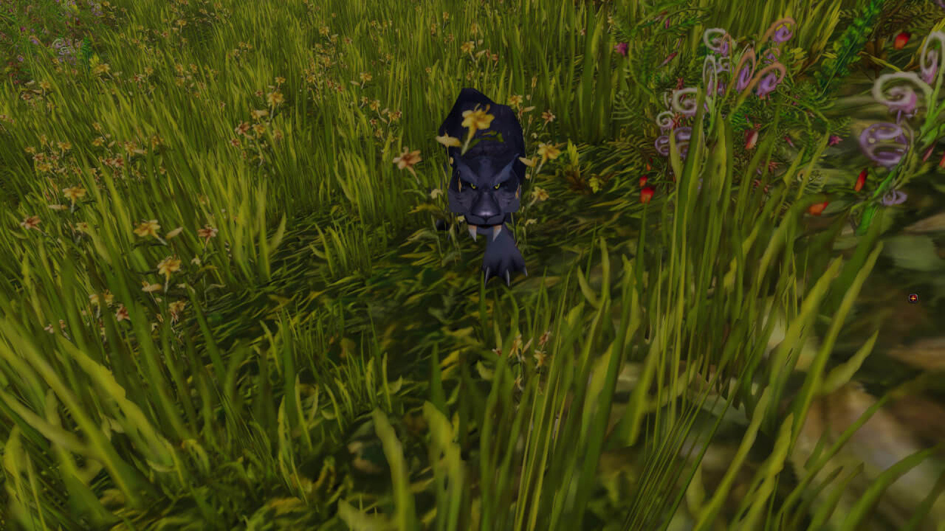 https://raidline.com/image/cache/catalog/blog/cataclysm/npc/panther-hunting-raidline-1920x1080.jpg