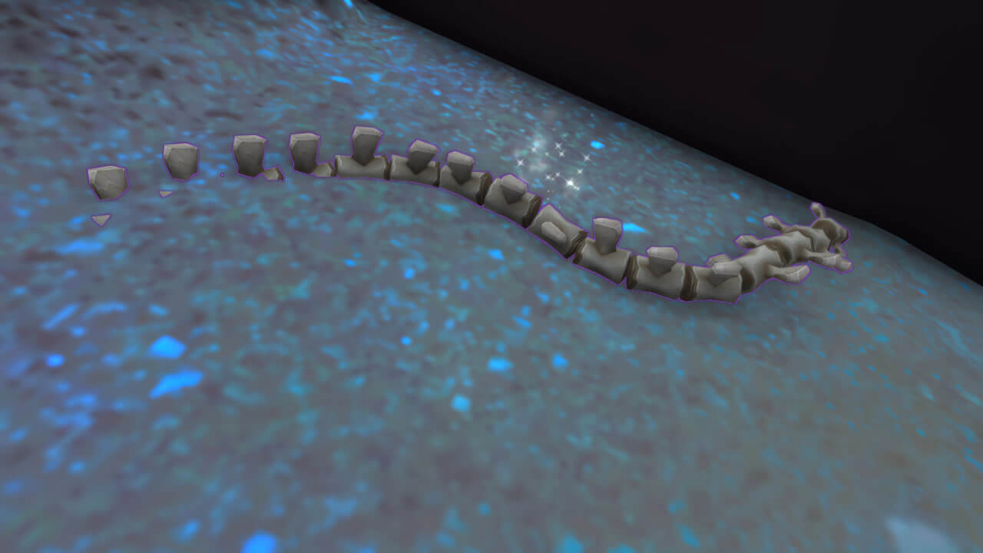 https://raidline.com/image/cache/catalog/blog/tww/chests/skeletal-tail-bones-1920x1080.jpg