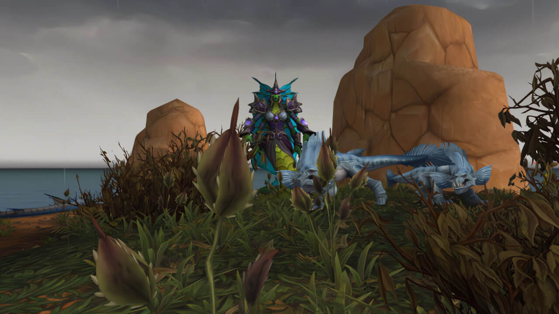 https://raidline.com/image/cache/catalog/blog/tww/npc/coralweaver-calliso-raidline-1920x1080.jpg